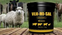 Imagem de VERMISAL 1,1 KGS - CHAMPION